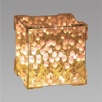 Tulip Cube Mirror Lamp